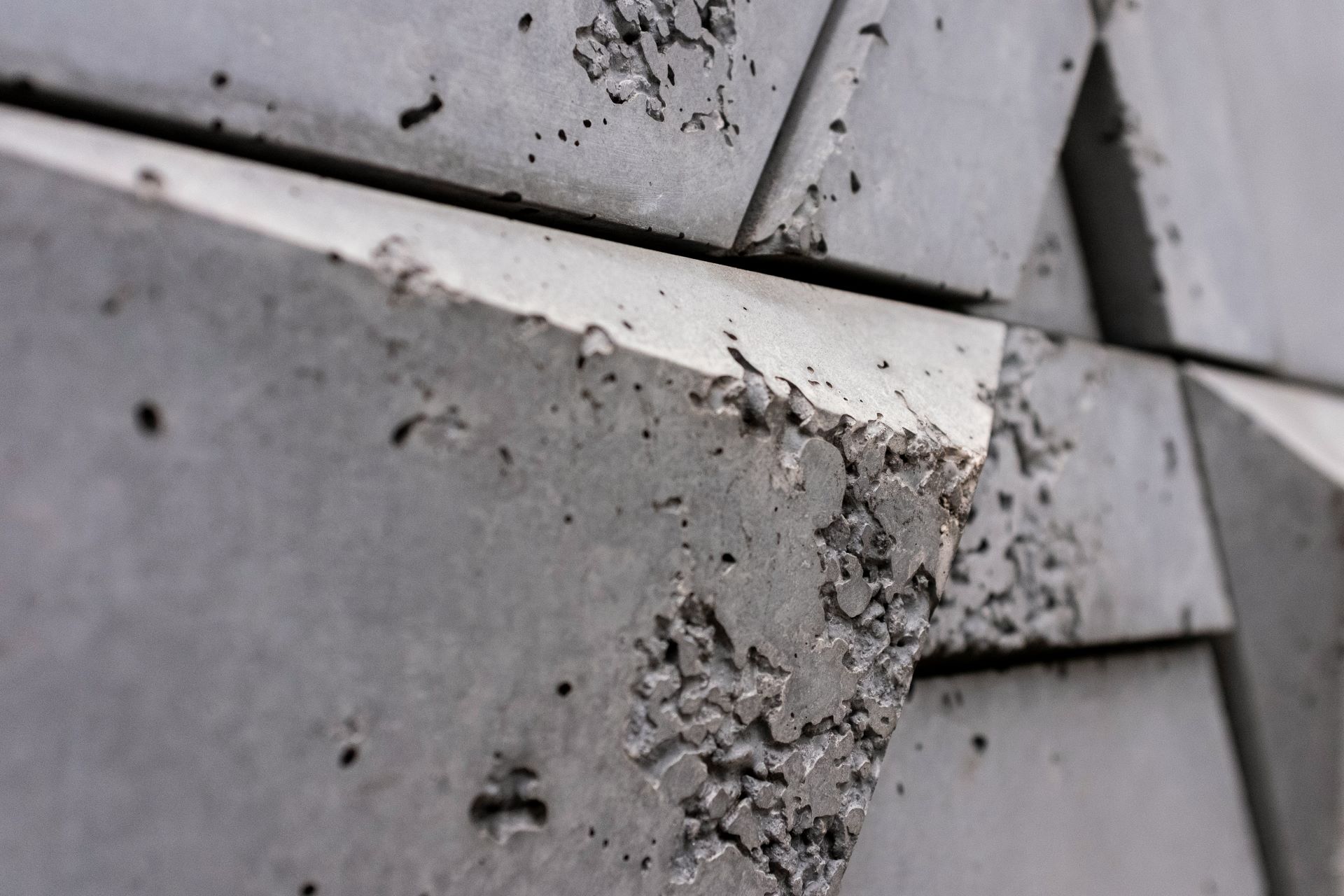 Prevent Pest Damage with Early Structural Detection